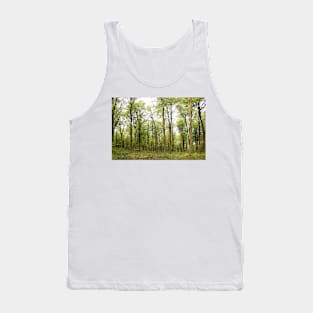 Green Leaved Trees in a Forest Tank Top